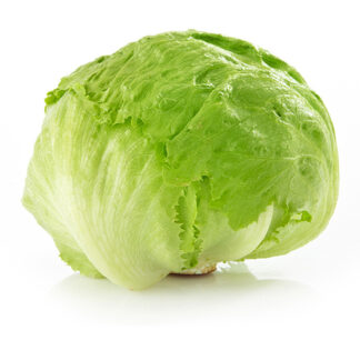 Fresh Lettuce Iceberg 10`s (1 piece.)