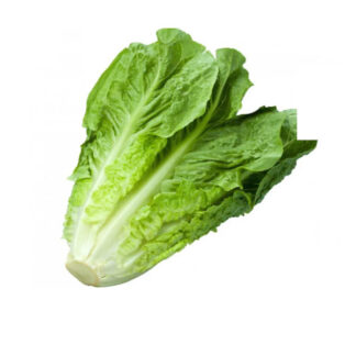 Fresh Lettuce Cos Loose (1 piece.)