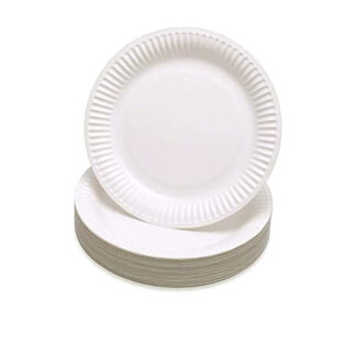 7" Paper Plates (100 pcs.)