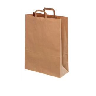 Lanch Paper Bag 10 pcs.