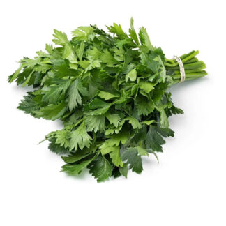 Fresh Flat Parsley Bag 50 g.