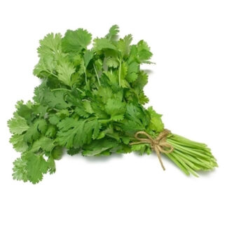 Fresh Coriander Bag 50 g.