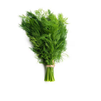 Fresh Dill Bag 50 g.