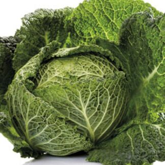 Fresh Cabbage Green Head (1 piece)