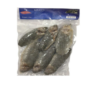 Fish Koi RN Brand 500 g. /Frozen
