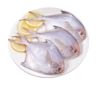 Silver Pomfret RN Brand 1 kg. /Frozen