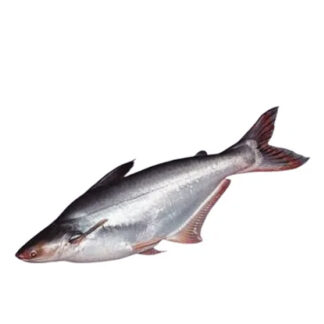 Fish Pangas Whole Cutted 2+ kg.