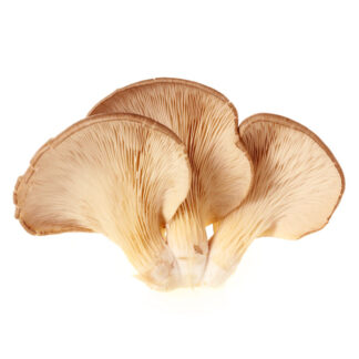 Mushrooms Oyster 250 g.