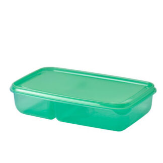 Plastic Sandwich Container With Lid Mixed Colour 22x14x5 cm.